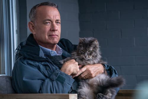 Tom Hanks cree que los Oscar no necesitan una categoría para interpretaciones de voz. "Podrían ganar en la categoría de mejor actor"